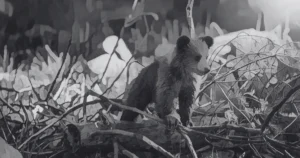 Read more about the article Czym jest UX? Dlaczego jest tak ważny?